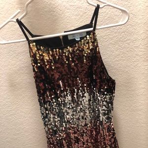 She and Sky Sequin Dress